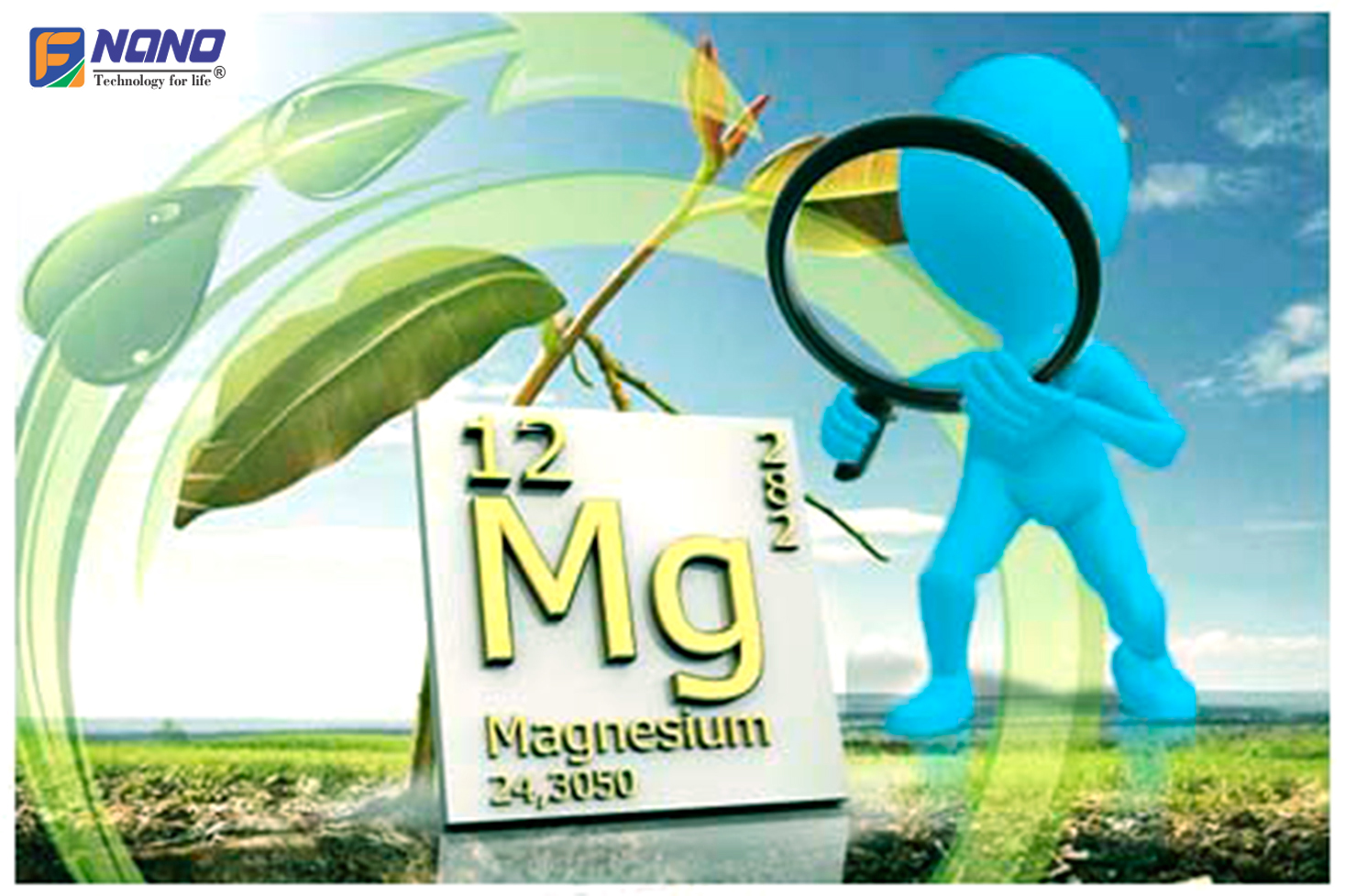 Magie (Mg) – Magnesium - Phân Bón FNANO